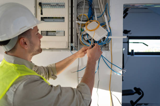 Best Electric Panel Repair  in Basye, VA